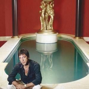 Meet your Posher, Jay